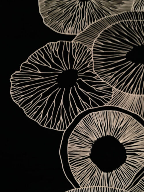 Rubino_Marimekko_VALMUSKA_nero